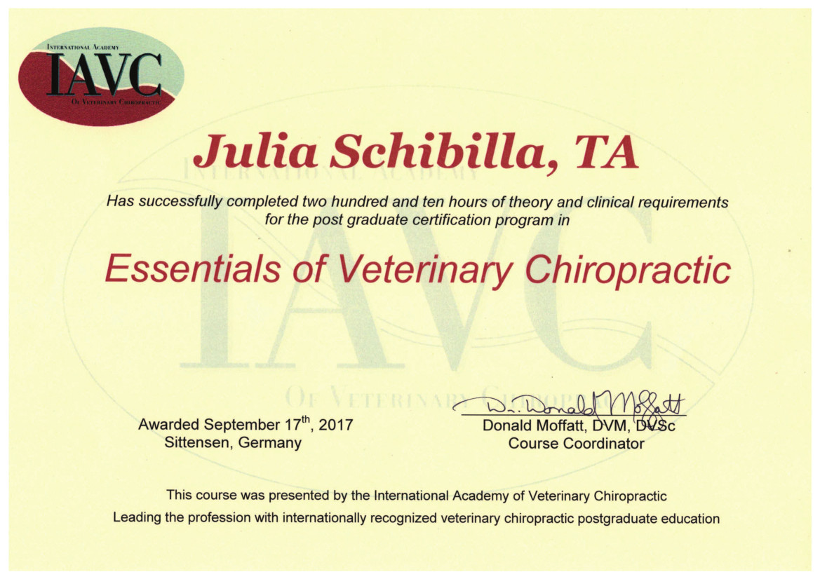 Essentials of Veterinary Chiropractic